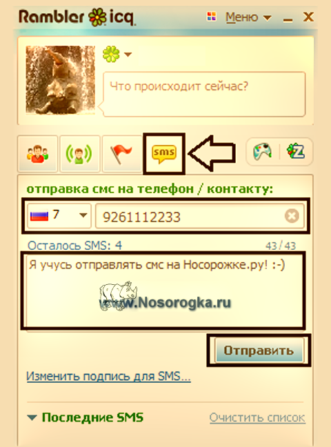 Как отправить смс через ICQ