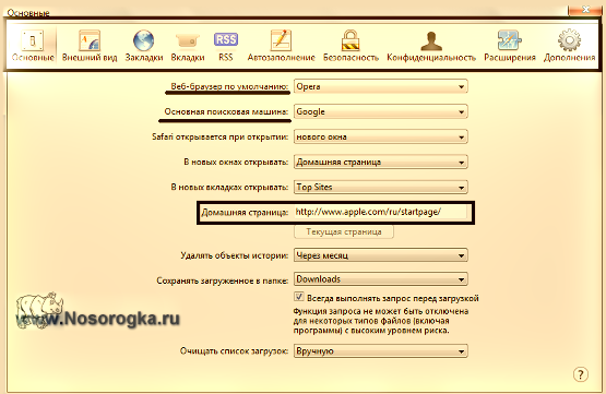 Основные настройки Safari